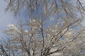 Xtrallusion photo gallery of Italy. Photos, pictures, images and photographs of the Italian Rivieras, the Italian Lakes, the Italian Alps, the Cinque Terre, the Amalfi coast and some of the most beautiful corners of Italy. Plus photos of Italian cities such as Pisa, Milan, Genoa and Rome.